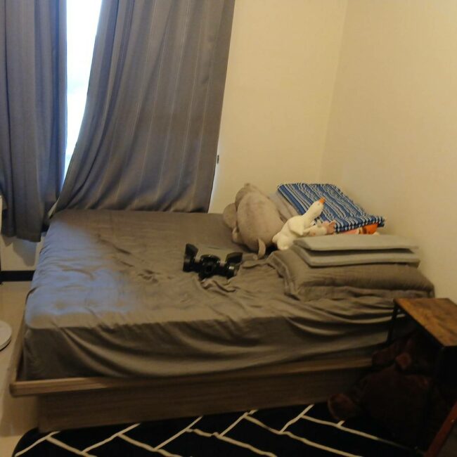 新北塵蟎清潔｜三重社區大樓｜阿峰居家清潔除塵蟎-3